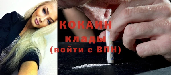 тгк Дмитриев