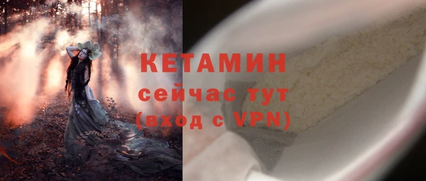 тгк Дмитриев