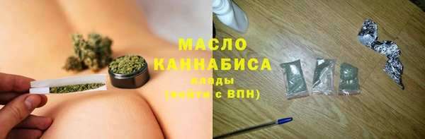 тгк Дмитриев
