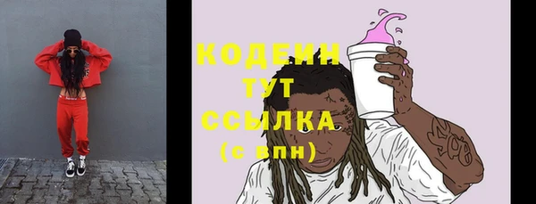 тгк Дмитриев