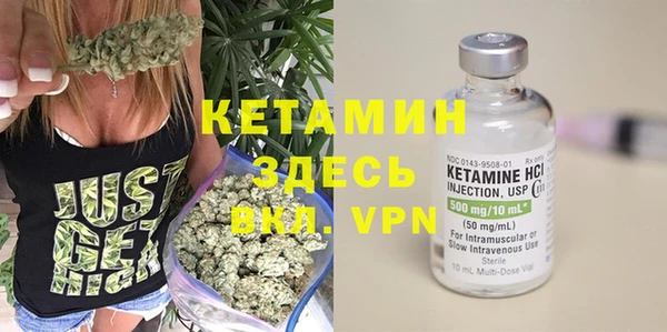 тгк Дмитриев