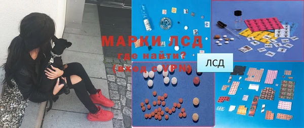 тгк Дмитриев