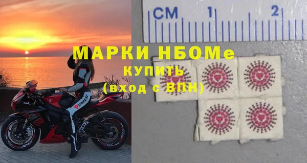 стаф Гусь-Хрустальный